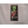 Shareef Abdur-Rashim 2003/04 Topps Rookie Matri...