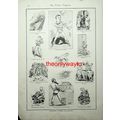 Cricket Terms, Illustrated, (Fruits Of Singapor...