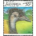 AUSTRALIA, BIRDS, Emu, Dromaius novaehollandiae...