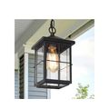 LNC Modern Farmhouse Black Outdoor Lantern 1-Li...