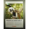 2009 Canon Photography Advertisement - Cotton-top Tamarin
