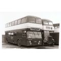 Black & White Photo of Castle Point Bus Co. Ltd...