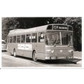 Black & White Photo of Maidstone & Dist Mtr Ser...