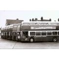 Black & White Photo of Maidstone & District Mot...