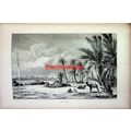 Biskra Oasis, Algeria, Book Illustration (Print...
