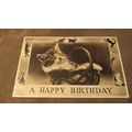 1943 Photochrom Postcard - Happy Birthday / Gre...
