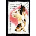 Afghanistan 1996 Cat 500AFG Used Stamp