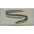 1978 Craven Black Cat Sport Fish card No. 38 Co...