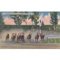 Finishing Post Horse Race Racing at Hialeah Par...