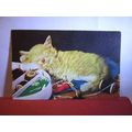 CAT NAP, SWEET KITTEN IN THE NEEDLEWORK unused ...