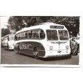 Black & White Photograph of Ribble Motor Servic...