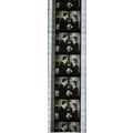 NOTORIOUS. Pk MTP - A004d. 1 STRIP OF 5 - 35MM ...
