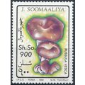 Fungi: 900sh - Somalia 1994 - MNH - MiNr 505