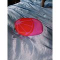 Radox washbag Radox make up bag pink and orange...