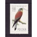 POLAND 1975 BIRDS OF PREY SG 2341 1Z MALE LESSE...