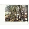 Yorkshire OTLEY River Washburn Postcard by Wome...