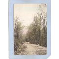 MA Asburnham Naukeag Lake Road Tree Lined Road ...