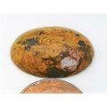 Yellow Moss Agate Freeform Gemstone Cabochon 202