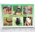 postcard Australian Wildlife