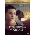 Ptaki spiewaja w Kigali (DVD) 2017 Krzysztof Kr...