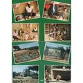 Niger Musee Niamey Jardin Zoologique Les Artisa...