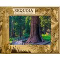 Sequoia National Forest Laser Engraved Wood Pic...