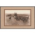 Horse Drawn Combine Harvester, California, c.19...