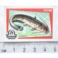 vintage Matchbox Label - Drava - Fish - Som