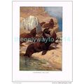 CALIFORNIAN SEA LION, BOOK ILLUSTRATION (PRINT)...