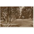 PC23222 The Avenue. Southampton. 1933