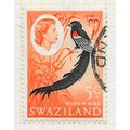 SWAZILAND 1962 SWAZI WIDOW BIRD USED SG96 96 SG...