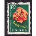 POLAND 1964 GARDEN FLOWERS 1.55z BEGONIA USED S...