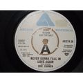 Eric Carmen - Never Gonna Fall In Love Again 7"...