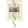 Fountain & Aqueduct, Mexico City, Book Illustra...