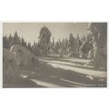 Norway Winter Snow in forest Shadows early 20th...