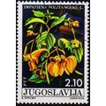 Yugoslavia. 1975 2d10 S.G.1689 Used