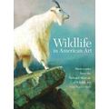 Wildlife In American Art
