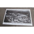 Beagles Real Photo Postcard - British Empire Ex...