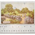 vintage postcard A Hampshire Garden near Southb...