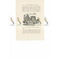 Market Place, Griefswald, Germany, Book Illustr...