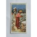 1928 Players Products of the World No. 17 Cotto...