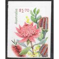 2025 CHERISHED CELEBRATIONS, NATIVE FLOWERS, MN...