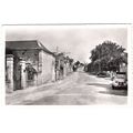 53 - ST DENIS D'ANJOU - LES PROMENADES ET ROUTE...