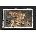 THAILAND 1993 FUNGI 8b CYATHUS SP SG 1686 FINE ...