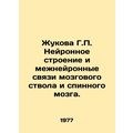 Zhukova G.P. The neural structure and interneur...