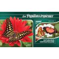 CENTRAL AFRICA 2015 SHEET MNH TROPICAL BUTTERFL...
