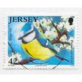 JERSEY 2007 BIRDS BLUE TIT BRITISH GARDEN 42p USED