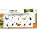 2008 Insects 10x1st class - UK Species in Recov...