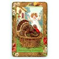 1910 Cute Young Girl Turkey Embossed Thanksgivi...