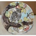Coalport The Wise Owl Collection - Little Owl -...